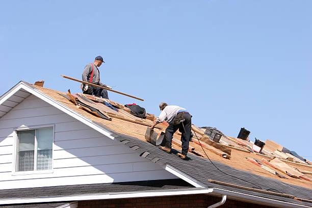 Sheet Metal Roofing in Orchard Homes, MT